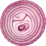 onion